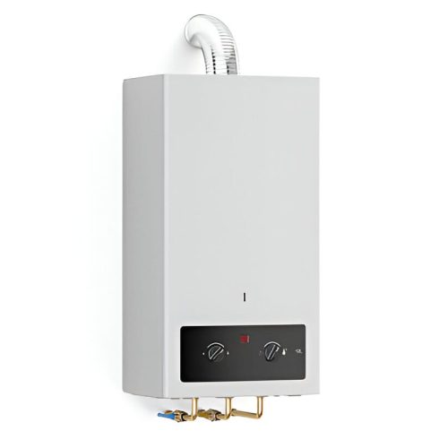 Instant Geyser